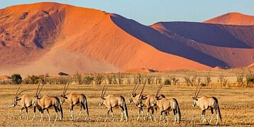 sossusvlei-namibia-wustensteppe